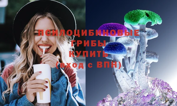 метадон Гусь-Хрустальный